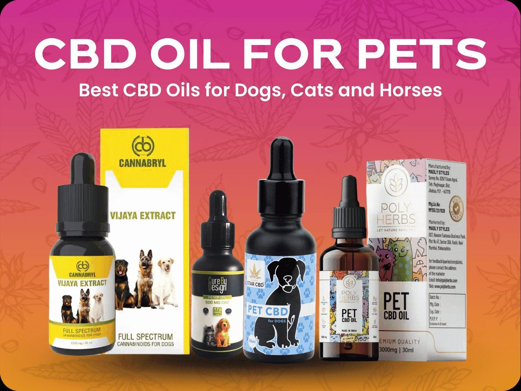 CBD Oil for Pets | Best CBD Oils for Dogs, Cats and Horses.