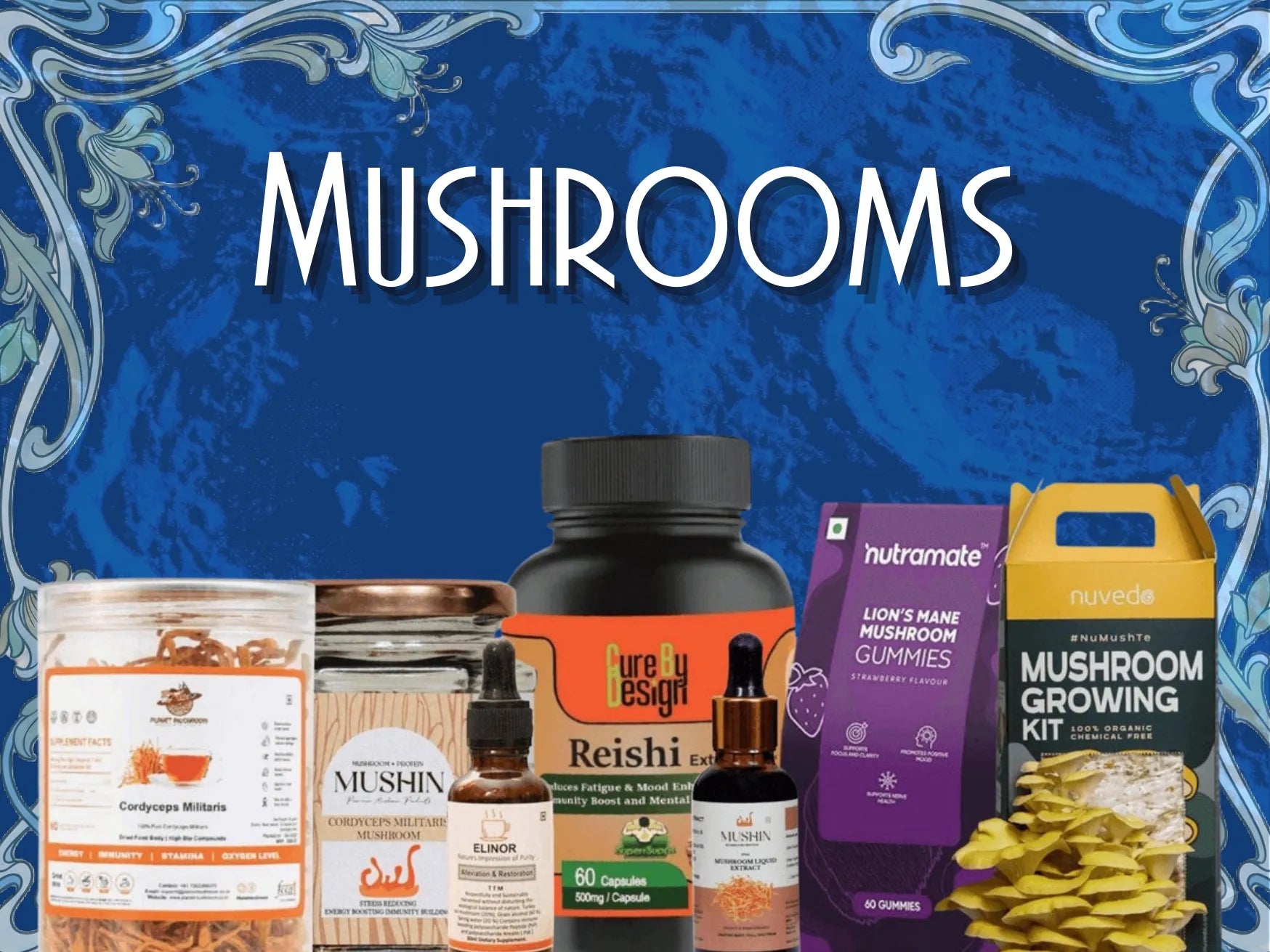 All Fungi- Mushroom Supplements.