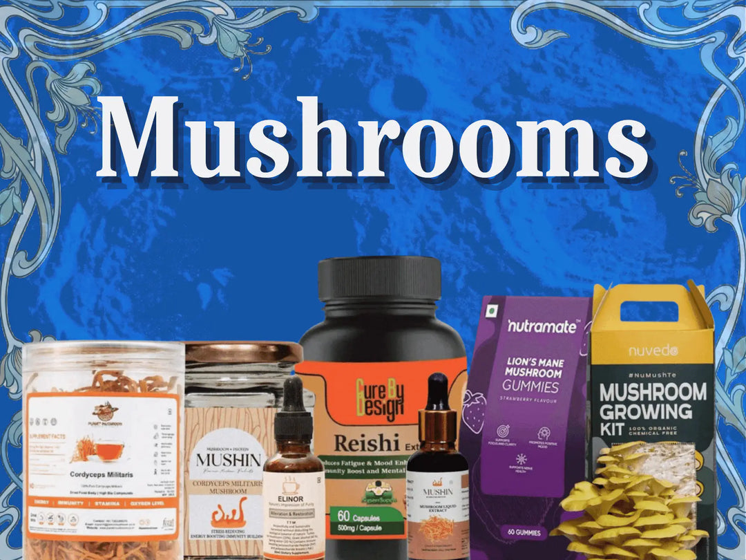 All Fungi- Mushroom Supplements - CBD Store India