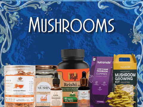 All Fungi- Mushroom Supplements