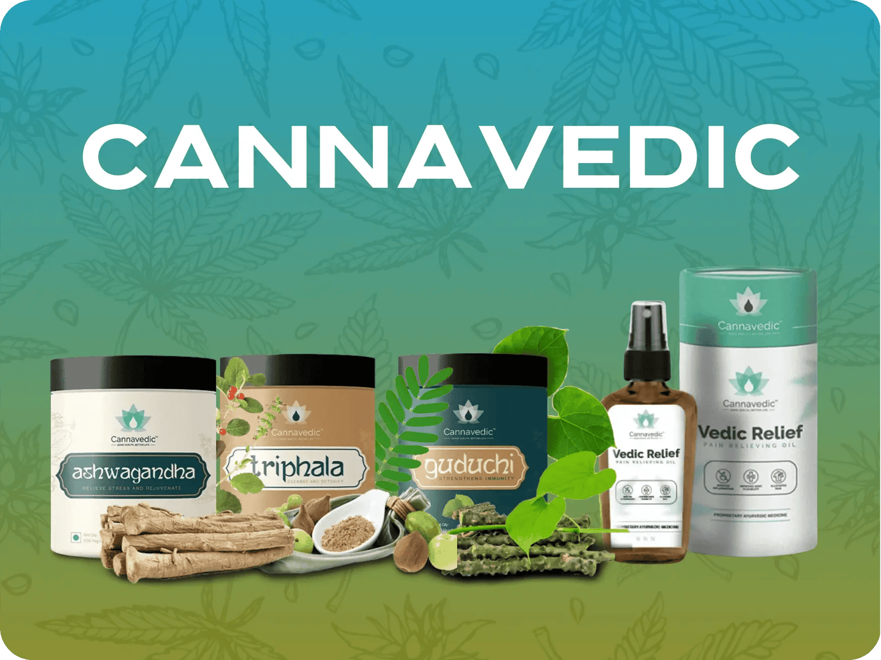 Cannavedic.