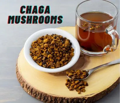 Chaga Mushroom Supplements