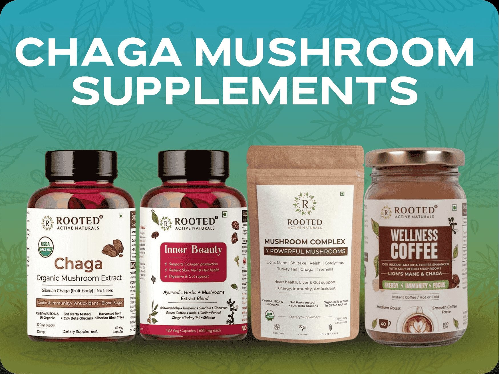 Chaga Mushroom Supplements.