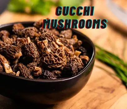 Gucchi Mushrooms