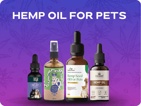 Hemp Oil for Pets