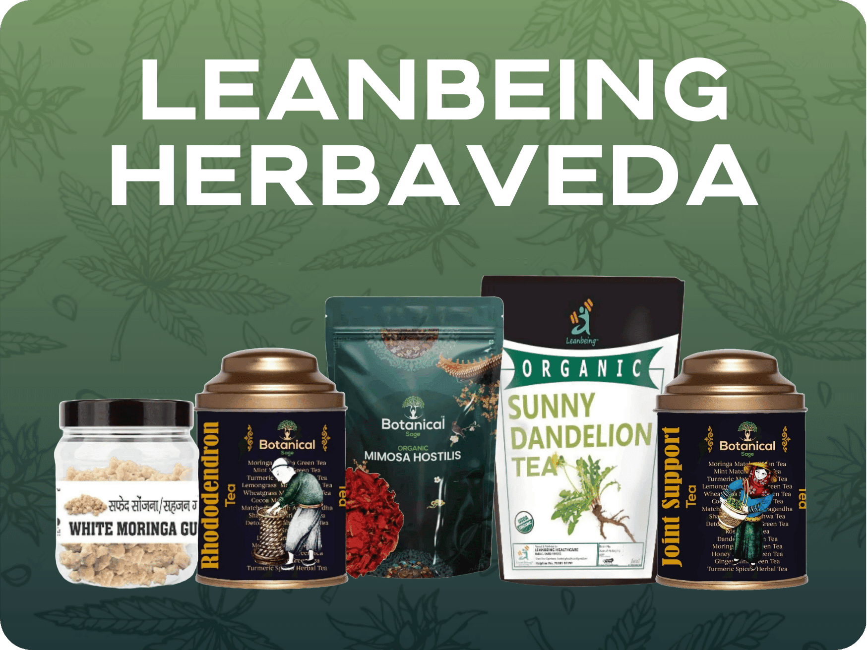 Leanbeing Herbaveda.