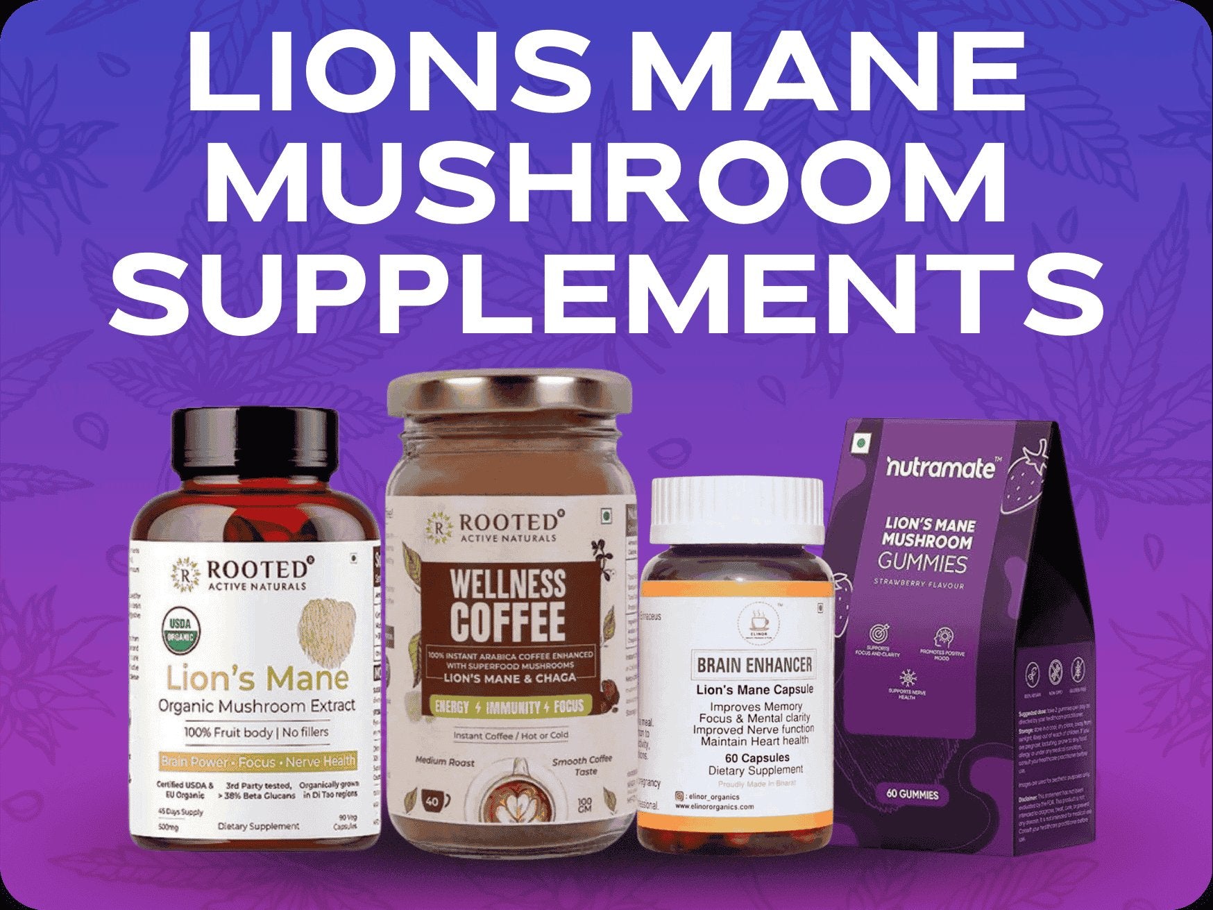 Lions Mane Mushroom Supplements.