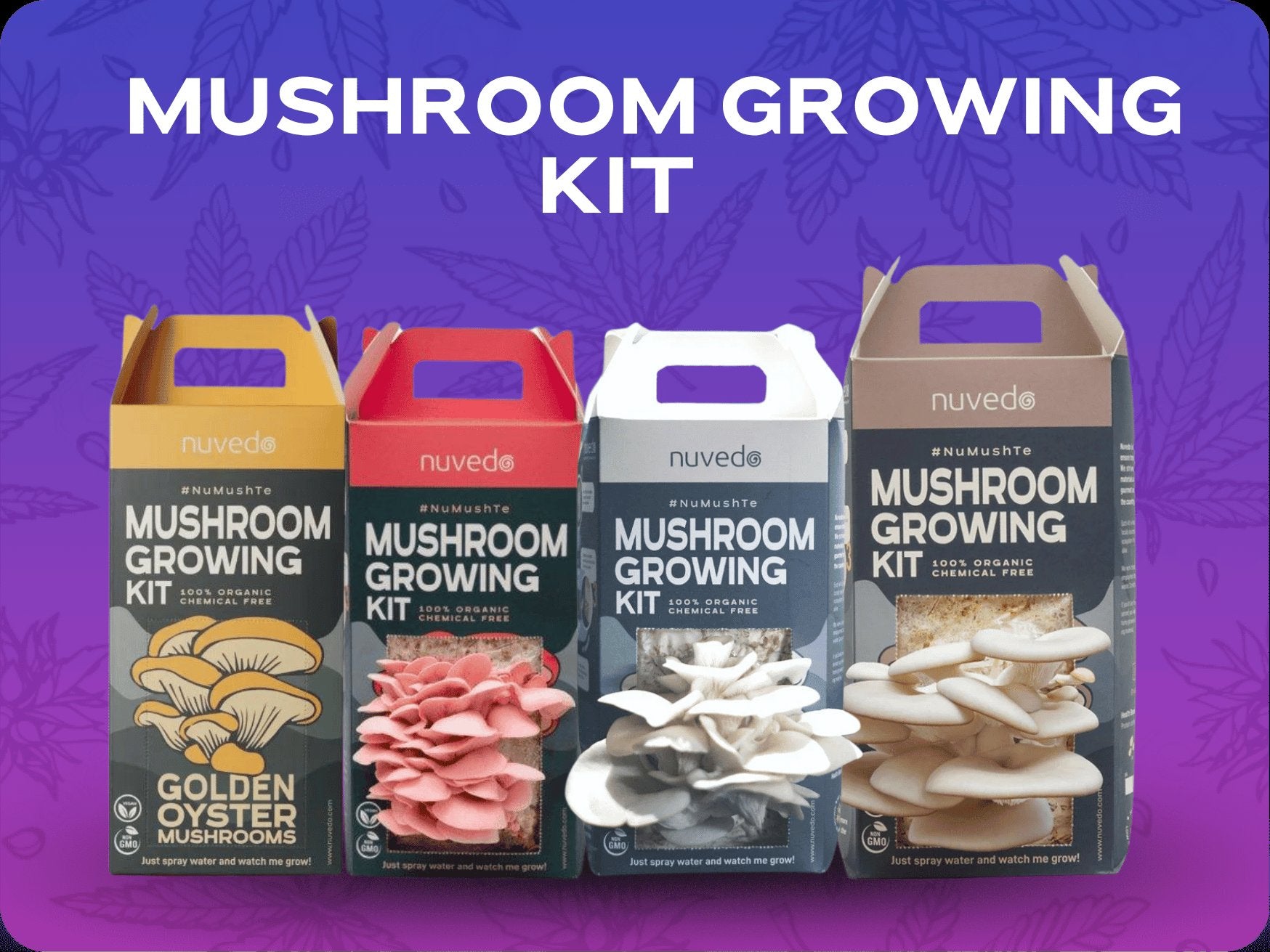 Mushroom Growing Kit.
