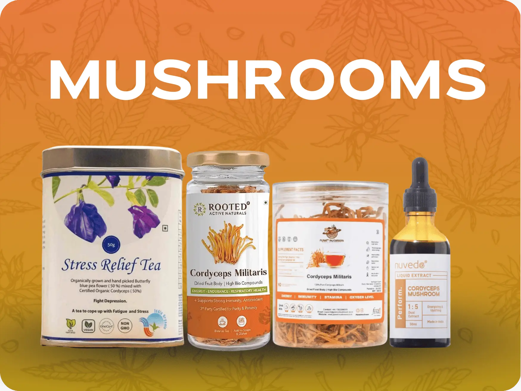 Mushrooms:  Ancient Wisdom Meets Modern Wellness.