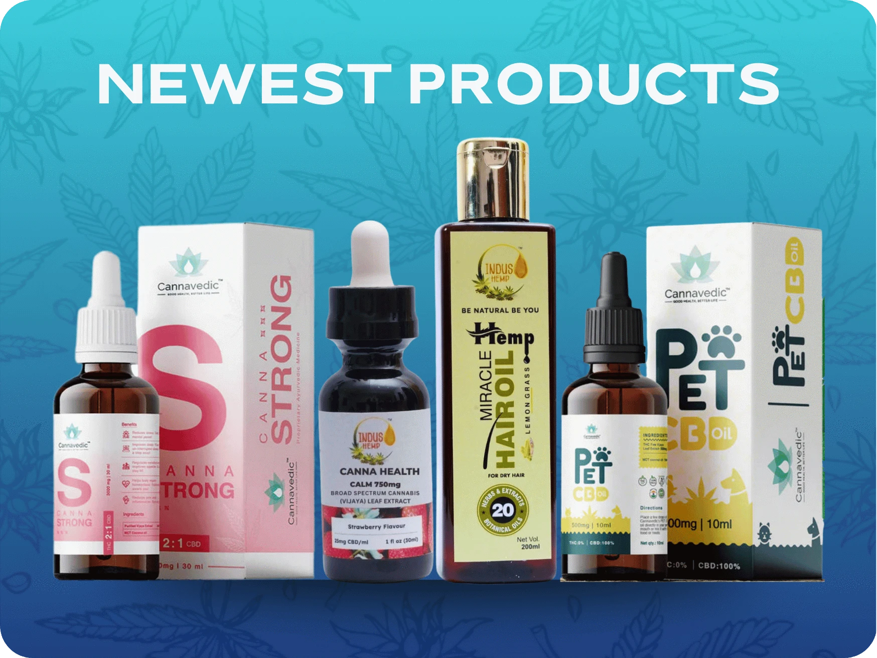 Newest Products.