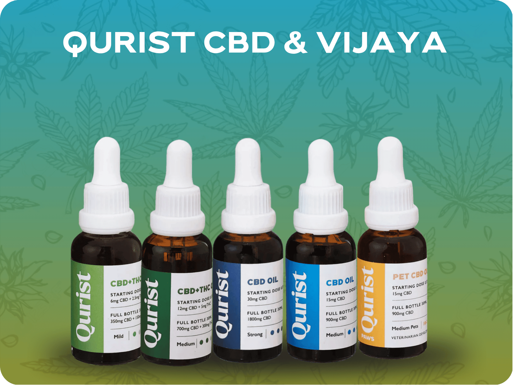 Qurist CBD & Vijaya.