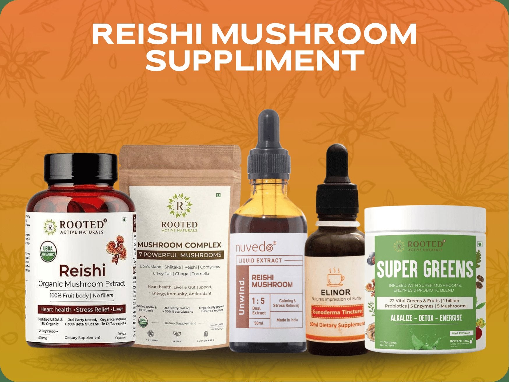 Reishi Mushroom Supplements