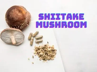 Shiitake Mushroom Supplements