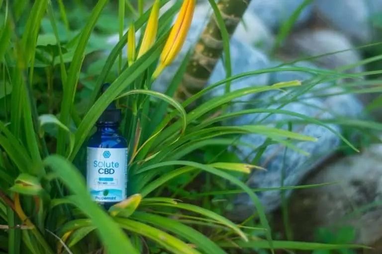 Solute CBD.