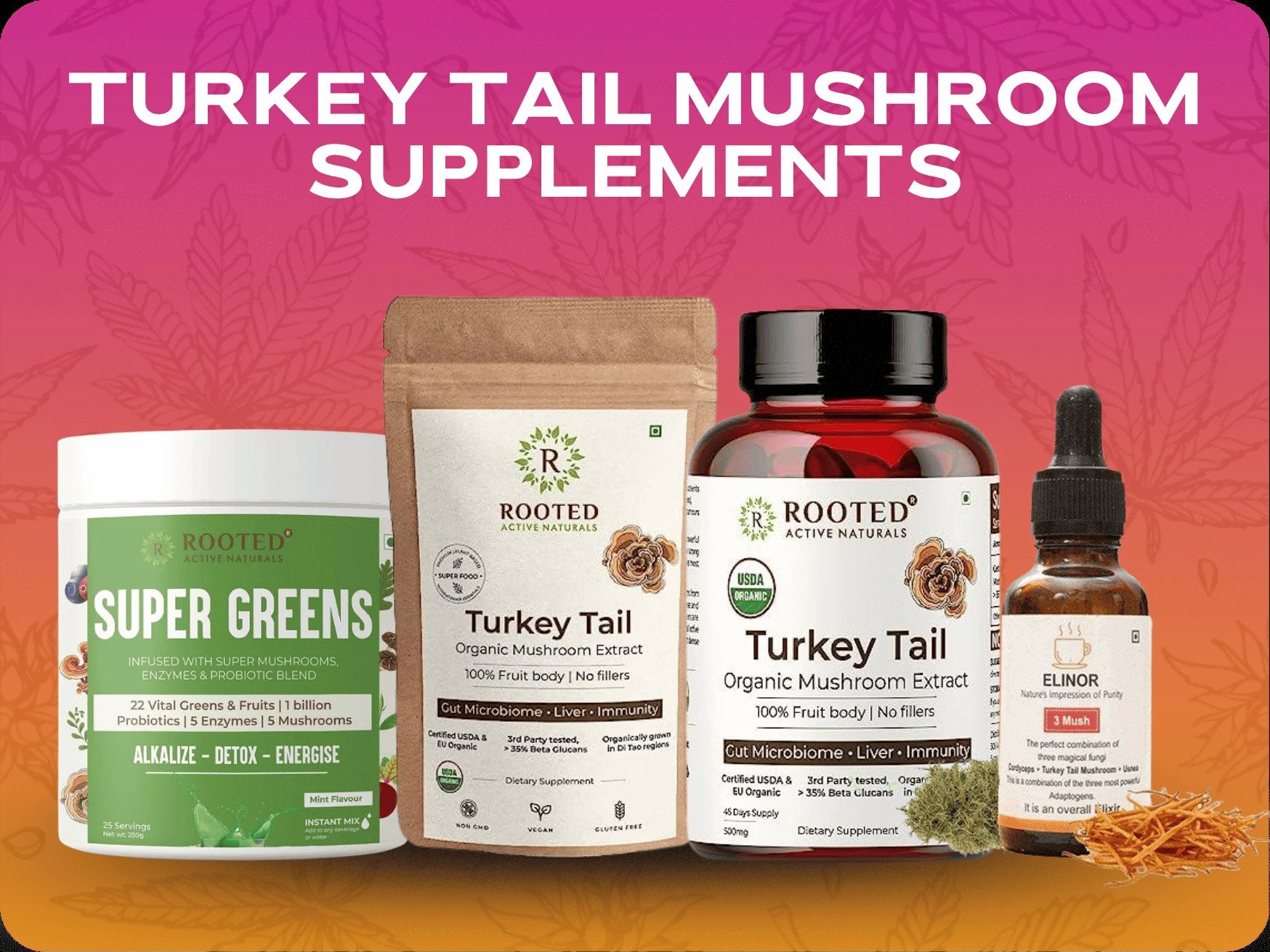 Turkey Tail Mushroom Supplements.