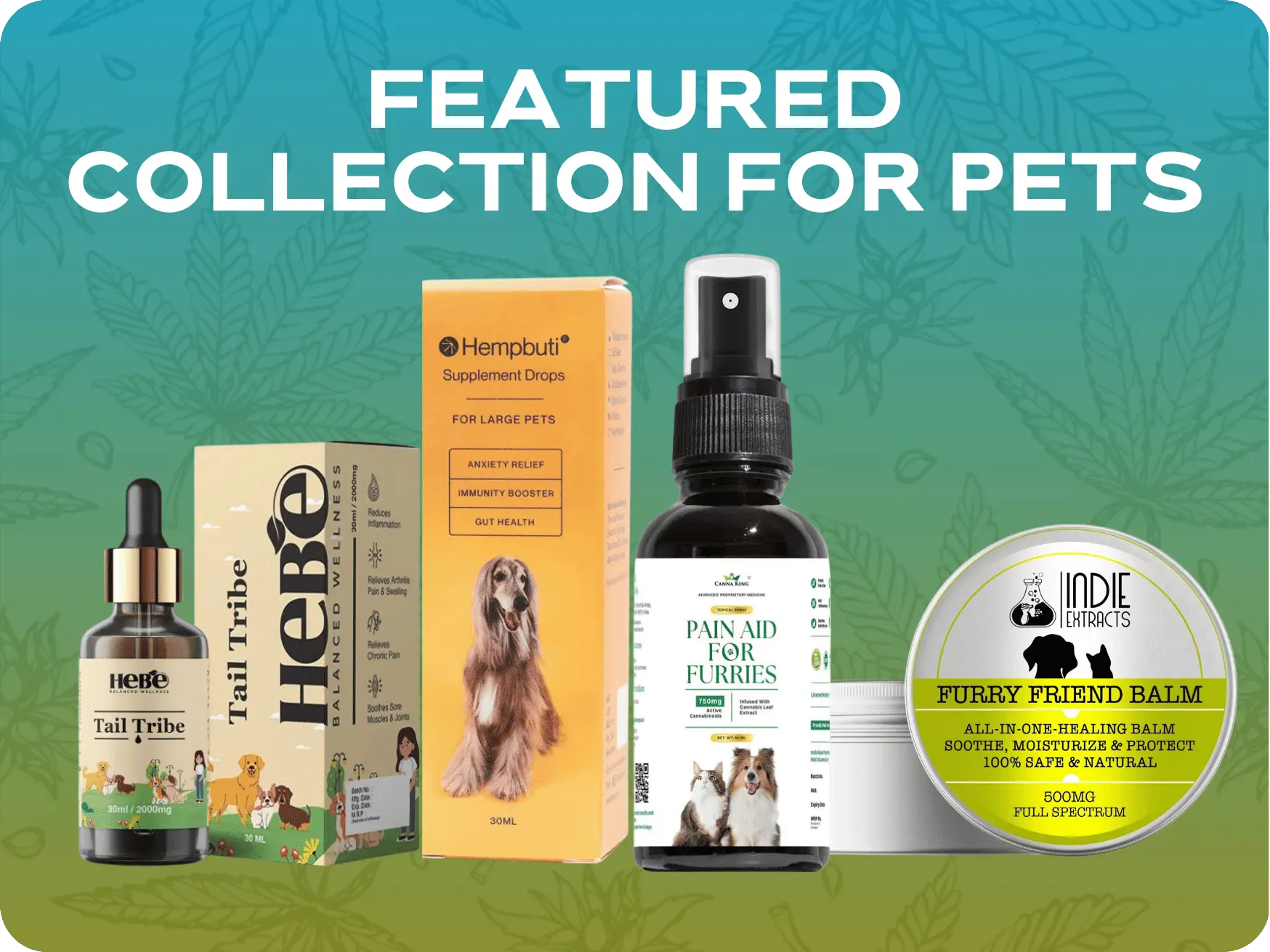 Featured Collection for Pets.