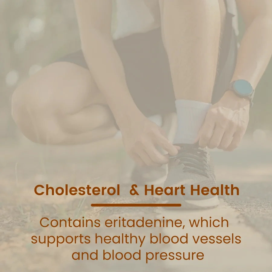 Rooted Actives Shiitake Mushroom Extract Capsules - Pure Fruit-Body Extract, Gluten-Free & Vegan