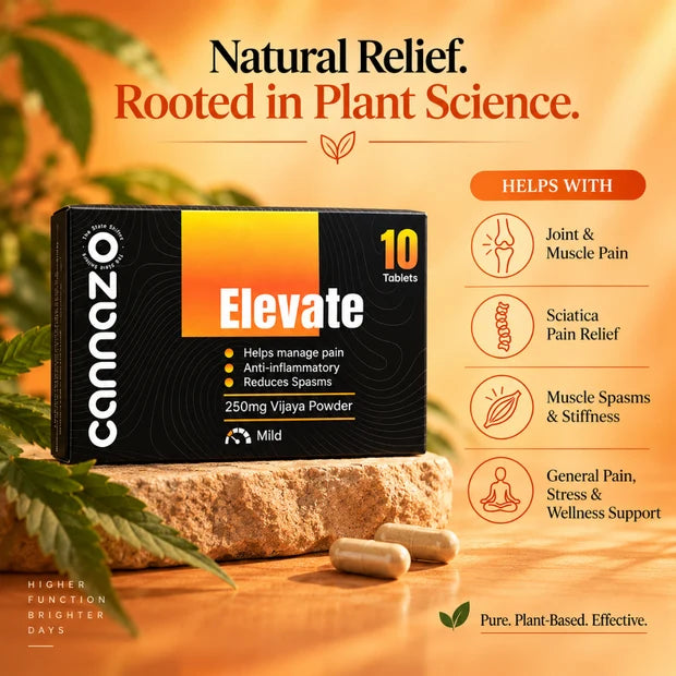 Cannazo Elevate Pain Tablets | 500mg Potency | 250mg Vijaya Powder Pain Tablets – Natural Support for Mild to Moderate Pain, Joint Pain & Inflammation