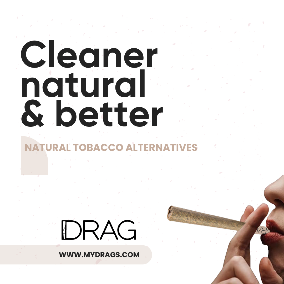 Drag Clove - Herbal Preroll | Mugwort & Cloves | Tobacco-Free & Nicotine-Free