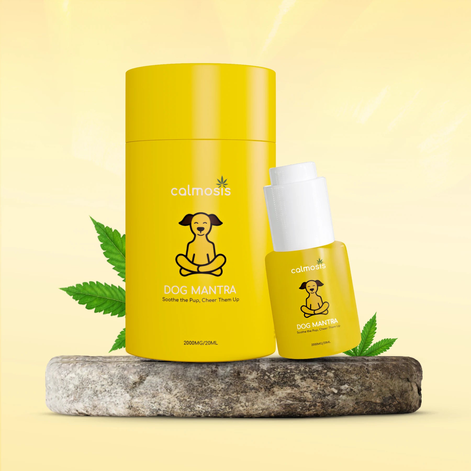 Calmosis Dog Mantra CBD Oil 2000mg | THC-Free Cannabis Extract for Dog Anxiety, Joint Pain & Wellness