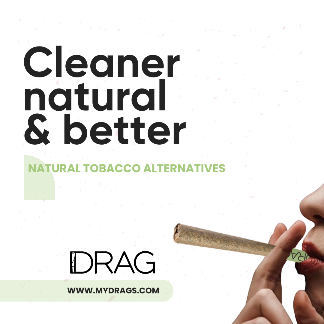 Drag Mint - Herbal Preroll | Mugwort & Peppermint Leaves | Tobacco-Free & Nicotine-Free