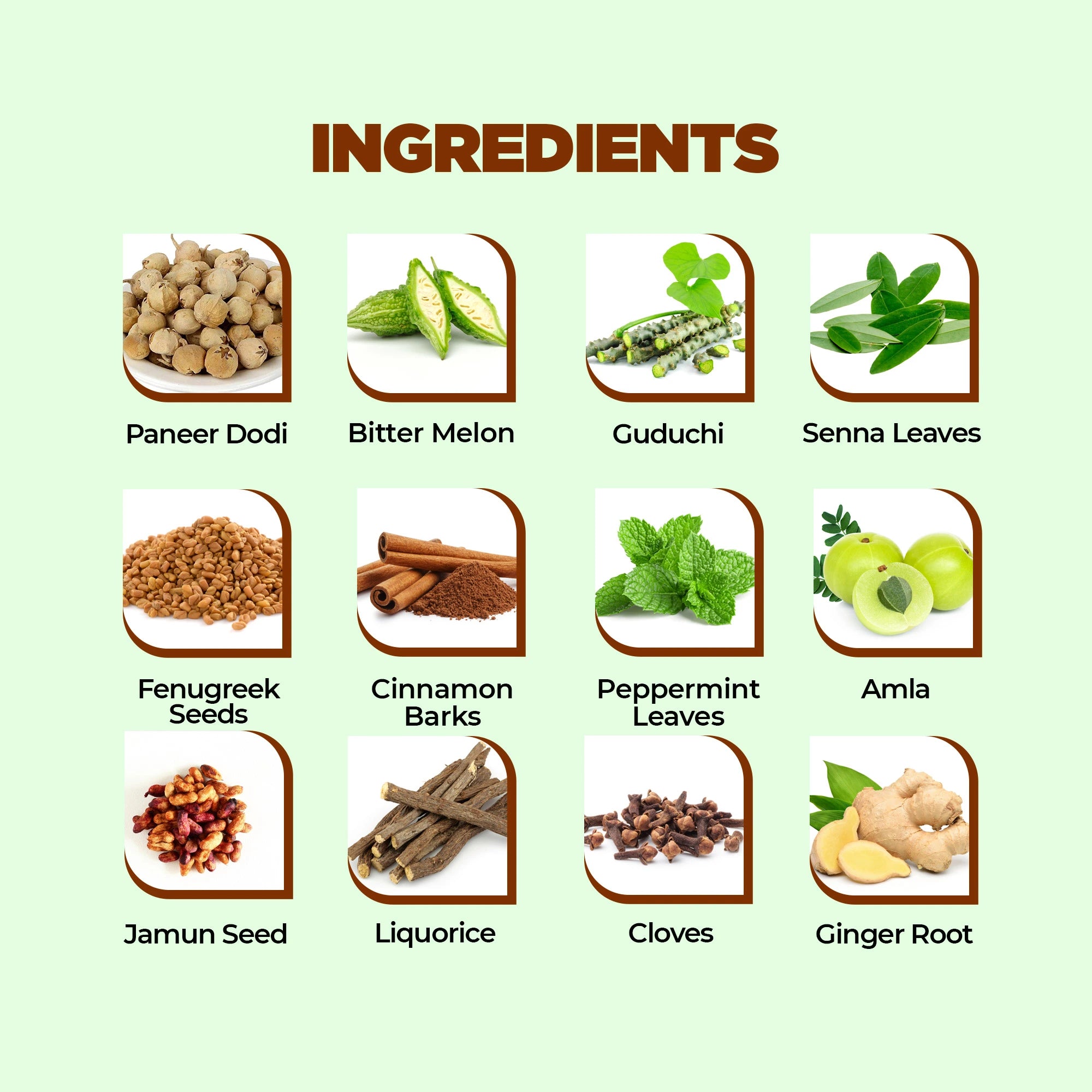 CBD Store India