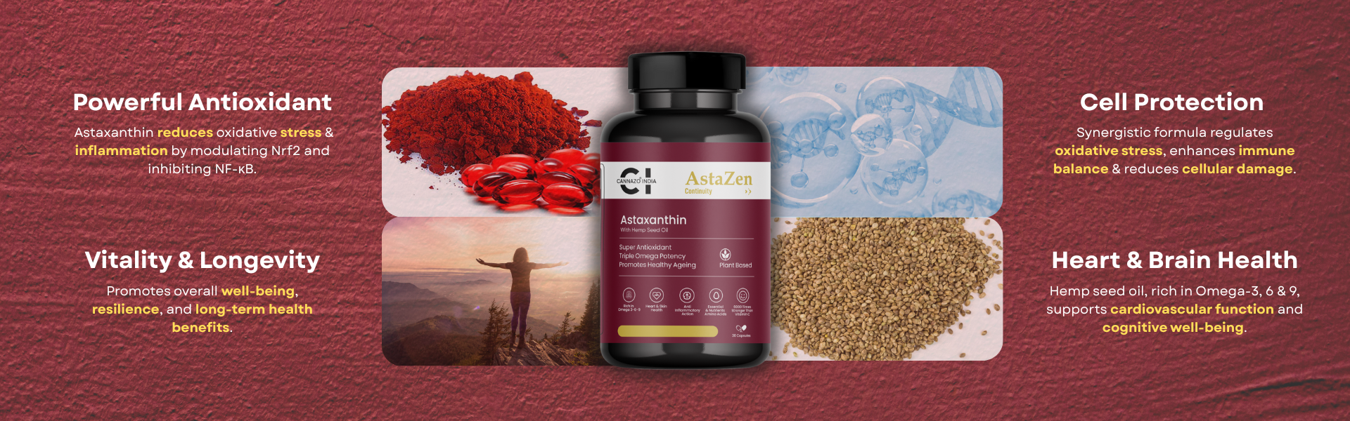 Cannazo AstaZen – Softgel (Continuity Hemp Seed Oil + Astaxanthin) 30 Capsules