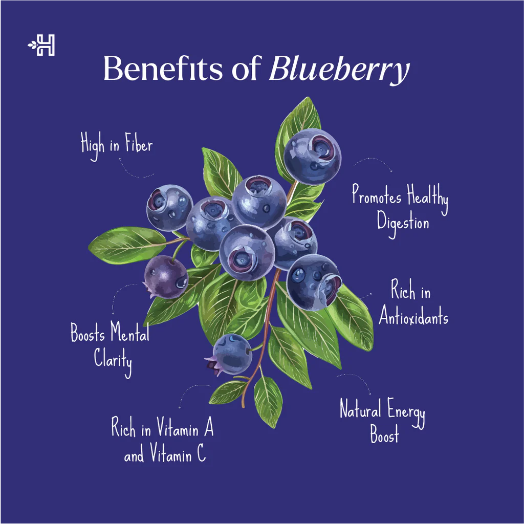 Health Horizons- American Blueberry Dried 150g