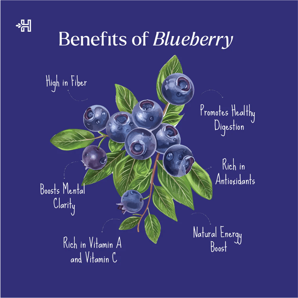Health Horizons- American Blueberry Dried 150g.