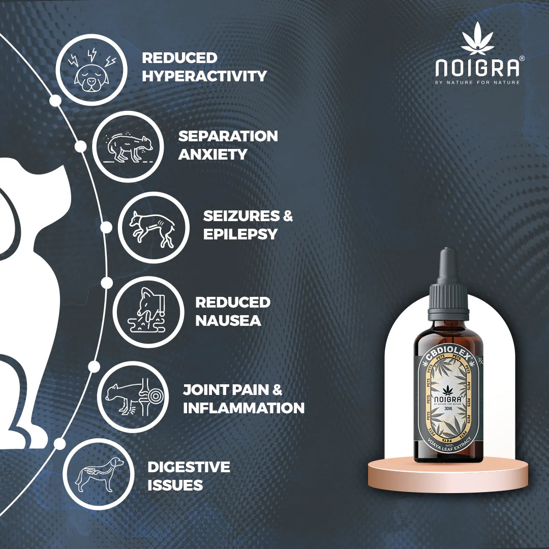 Noigra Cbdiloex For PetsPet CBD oilNoigra Cbdiloex For Pets - CBD Oil Anxiety Relief | Safe for Dogs