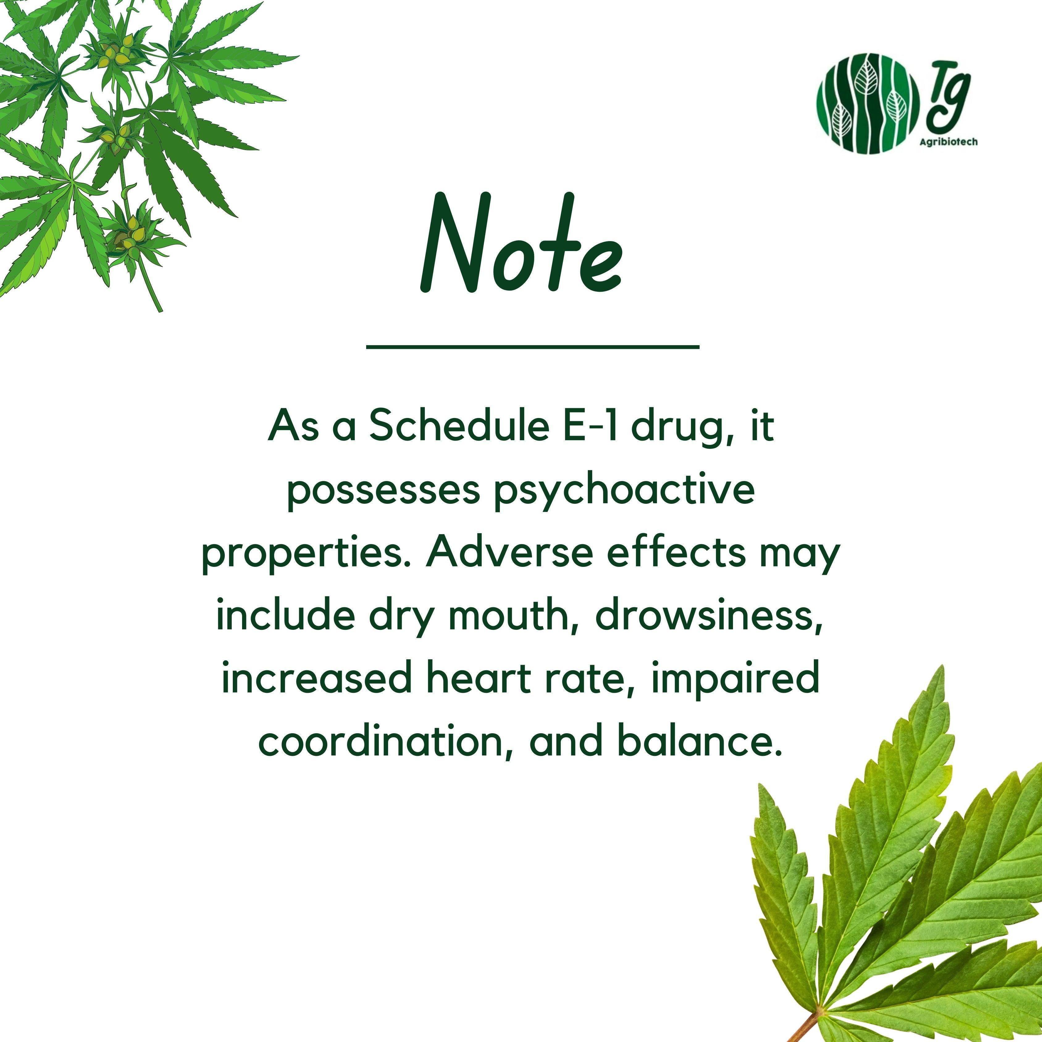 Medicann- Premium Medical Cannabis Extract (Refined Potency).