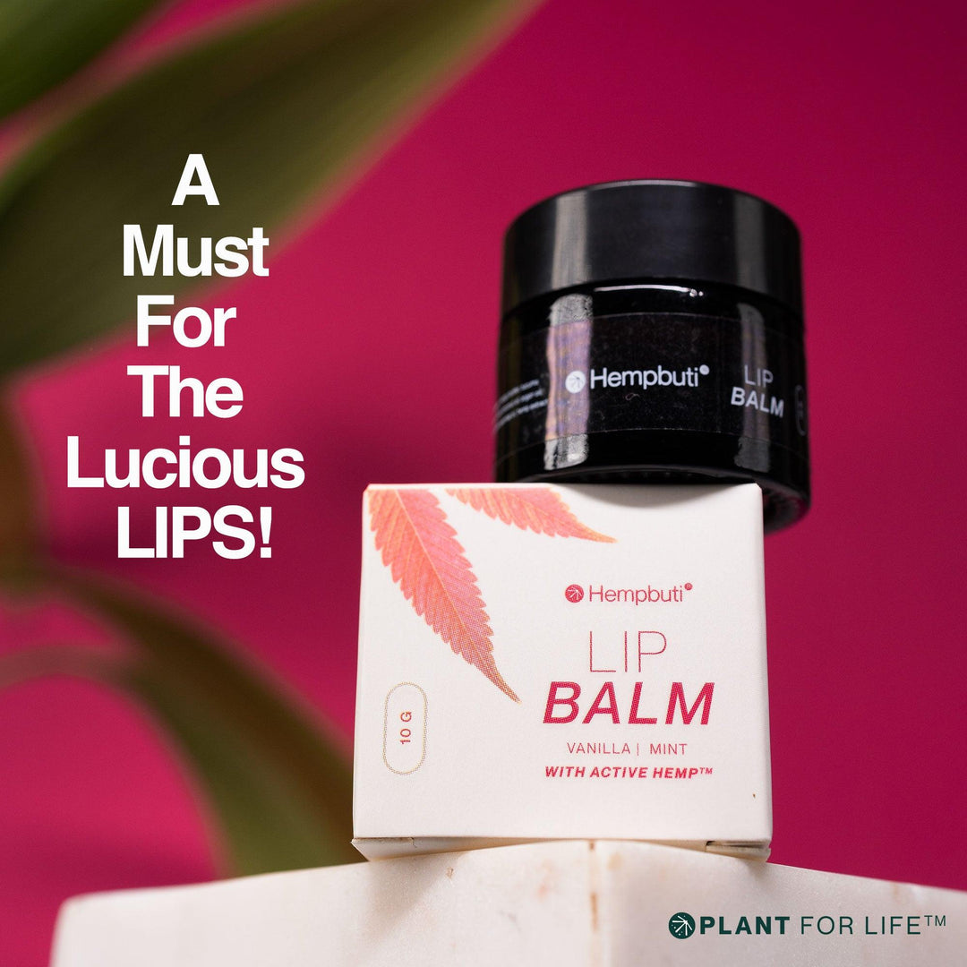 Hempbuti Lip Balm 10 GmHemp Lip BalmHempbuti Lip Balm 10 Gm - Hemp Lip Balm | Hydrate & Heal