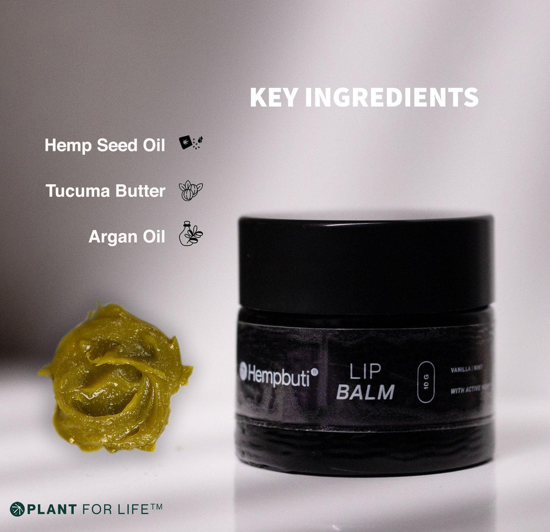 Hempbuti Lip Balm 10 GmHemp Lip BalmHempbuti Lip Balm 10 Gm - Hemp Lip Balm | Hydrate & Heal