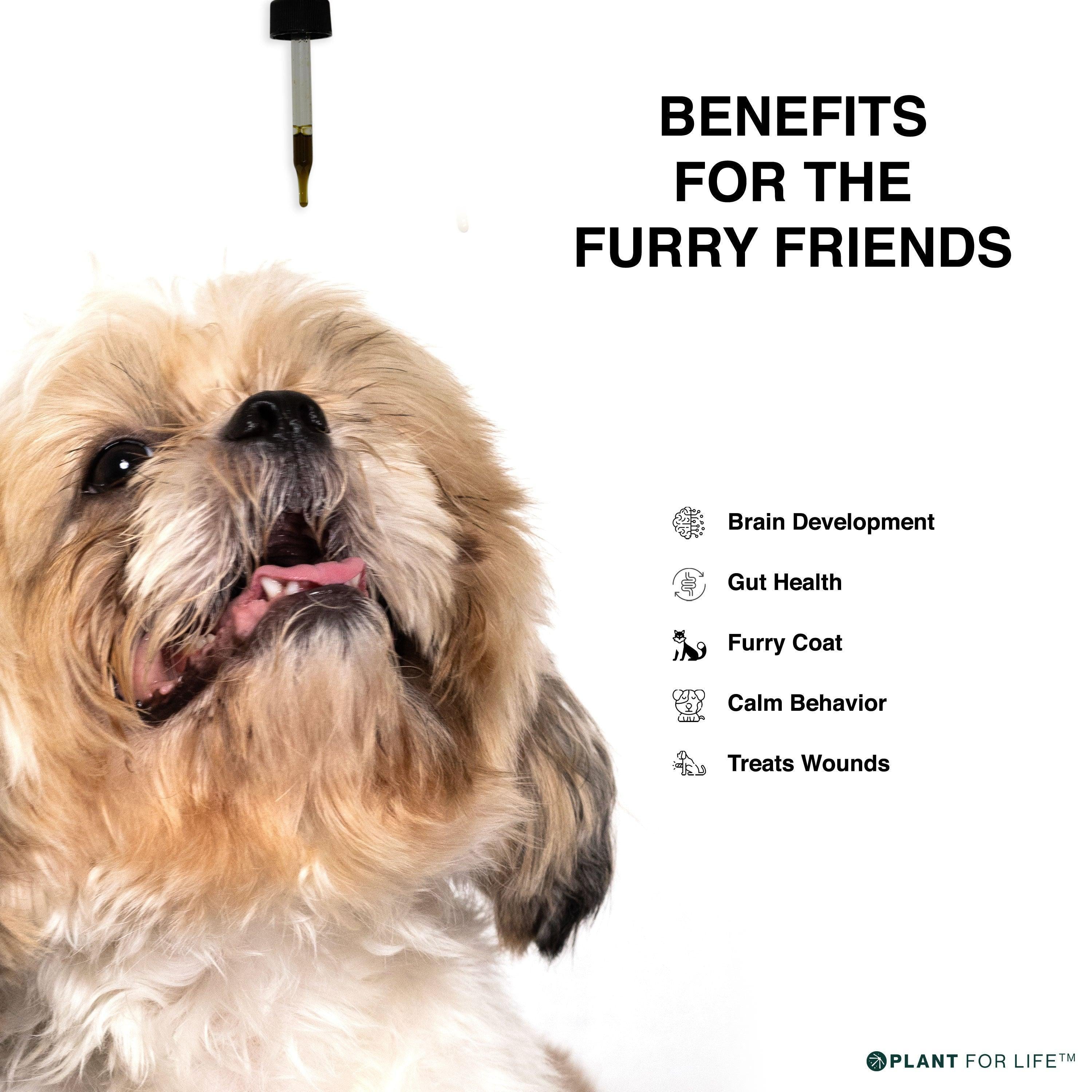 Hempbuti Over Parent Virgin Hemp Seed Oil For Pets 125 Ml.