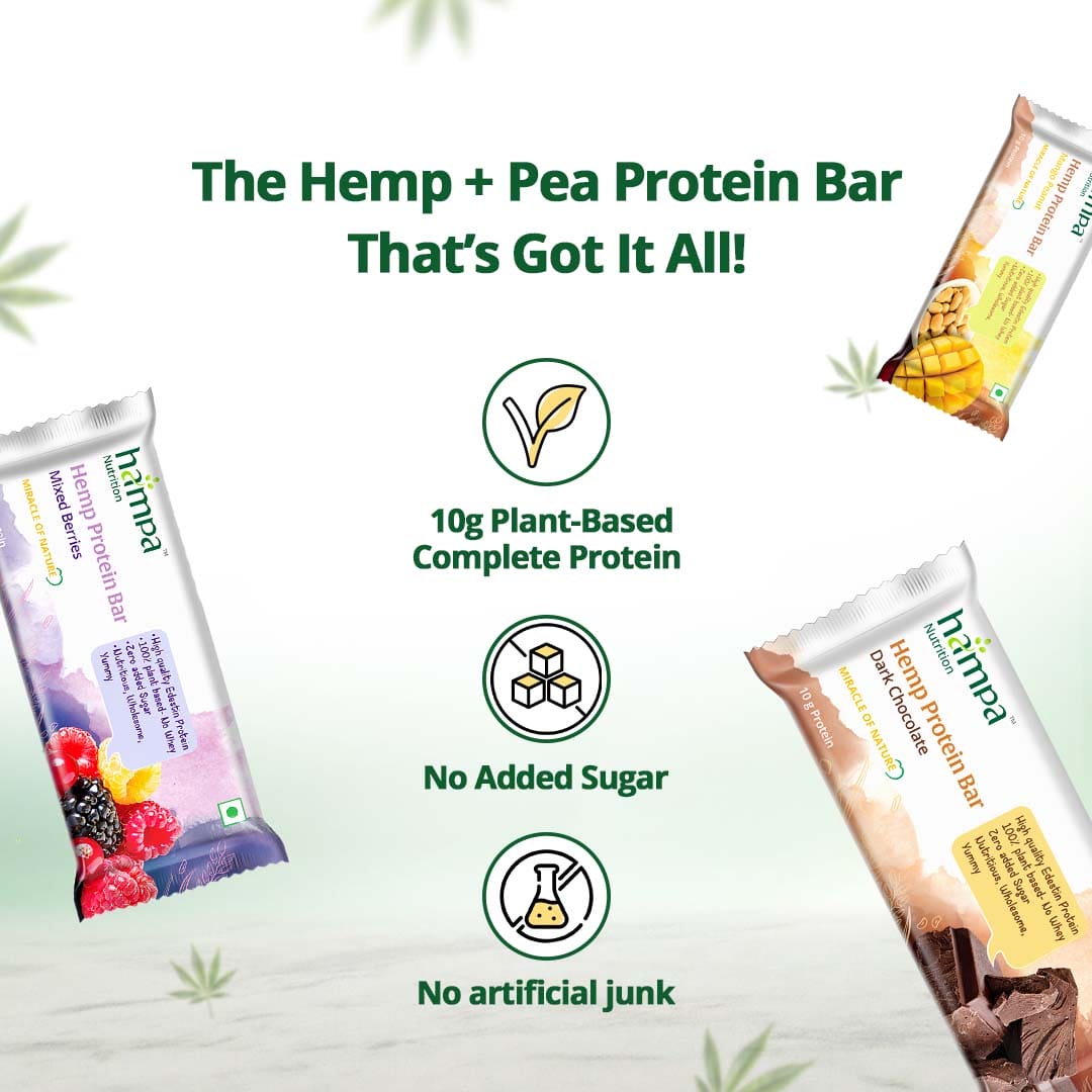 Hampa Hemp Protein Bar 50g - Mixed Flavours