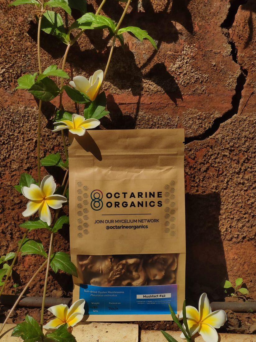 Octarine Organics Dried Oyster Mushrooms – Nutrient-Rich Culinary Superfood