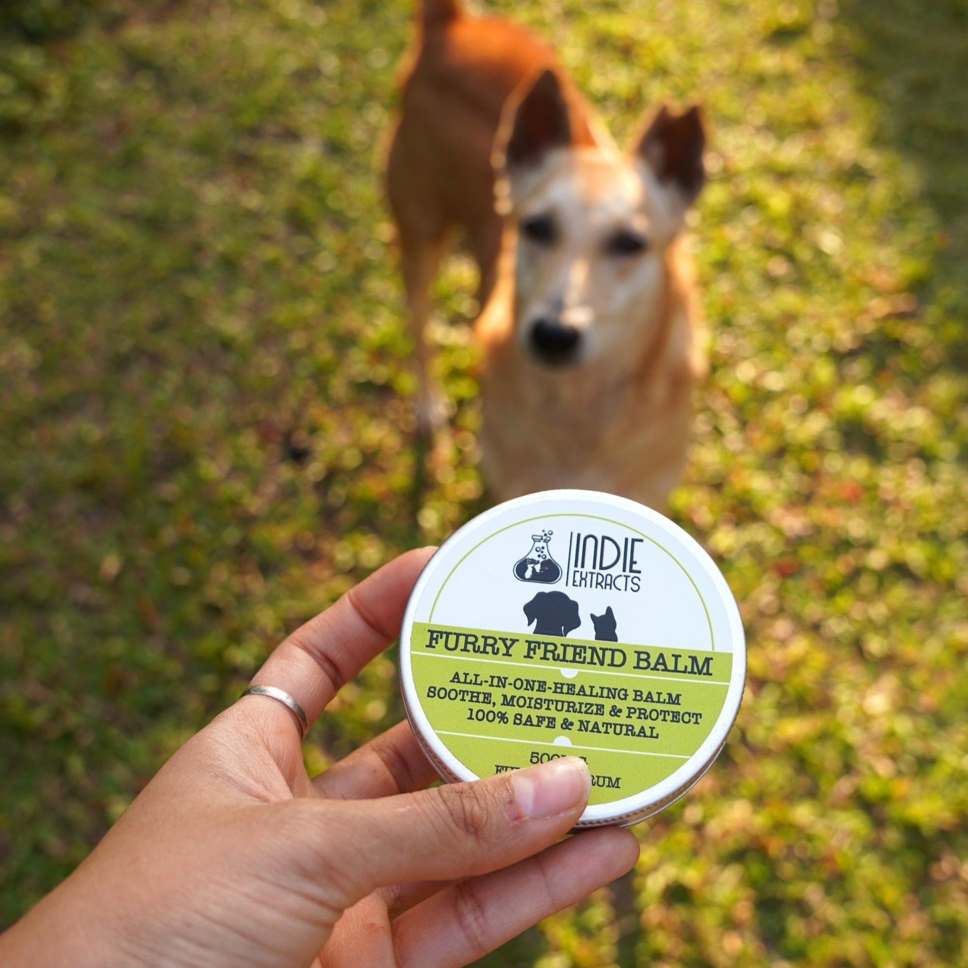 Indie Extracts- Furry Friend Balm