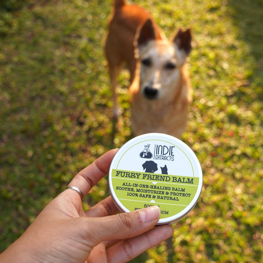 Indie Extracts- Furry Friend Balmpet balmIndie Extracts Furry Friend Balm - Hemp Extract Pet Balm