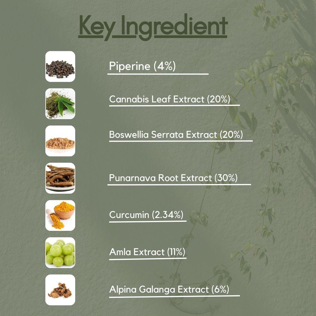 Nuvedic Pain Master Vijaya Joint Health | Ayurvedic Pain Relief Cannabis Capsules.