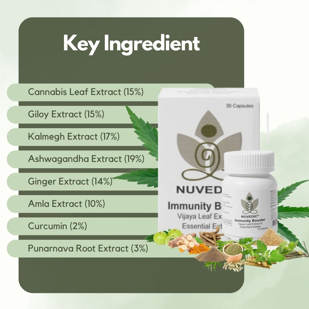 Nuvedic- Immunity Booster Vijaya Leaf Extract & Essential Extracts 30 CapsulesCannabis CapsulesNuvedic Immunity Booster Capsules - Ayurvedic | 30 Capsules