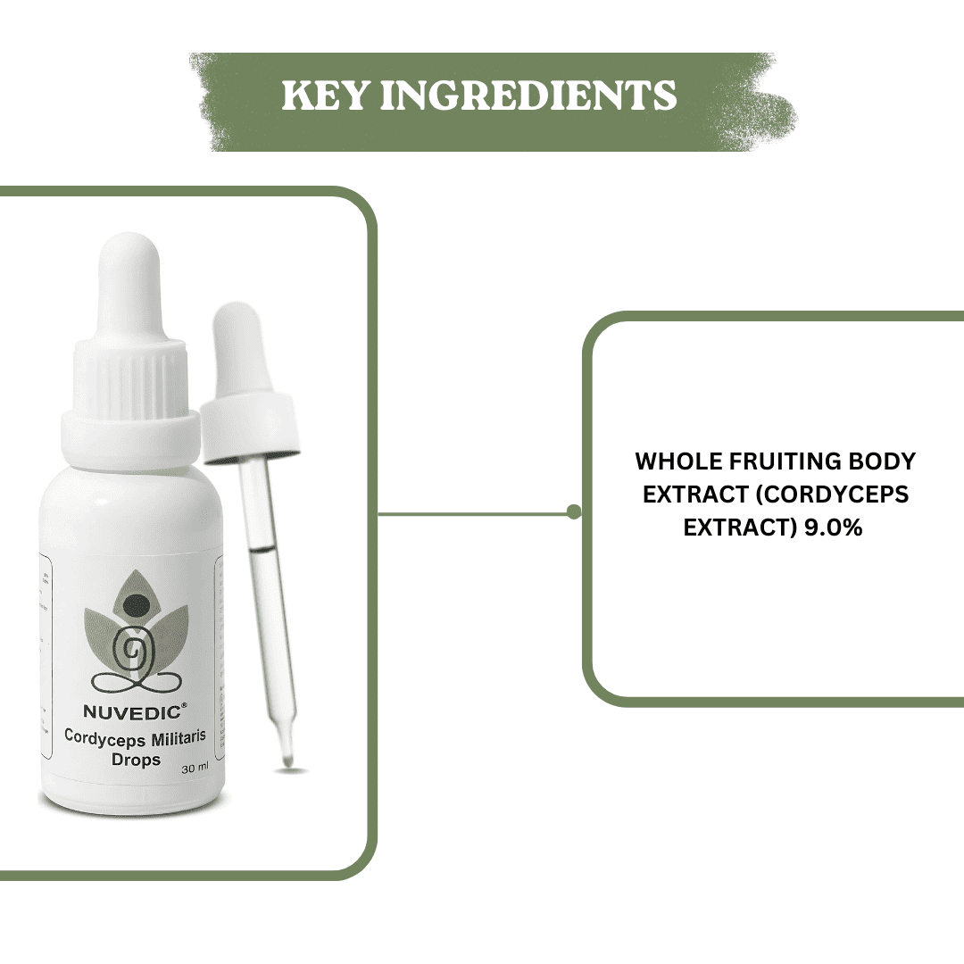 Nuvedic Cordyceps Militaris Drops | Cordyceps Extract for Energy & Immunity 30ml.