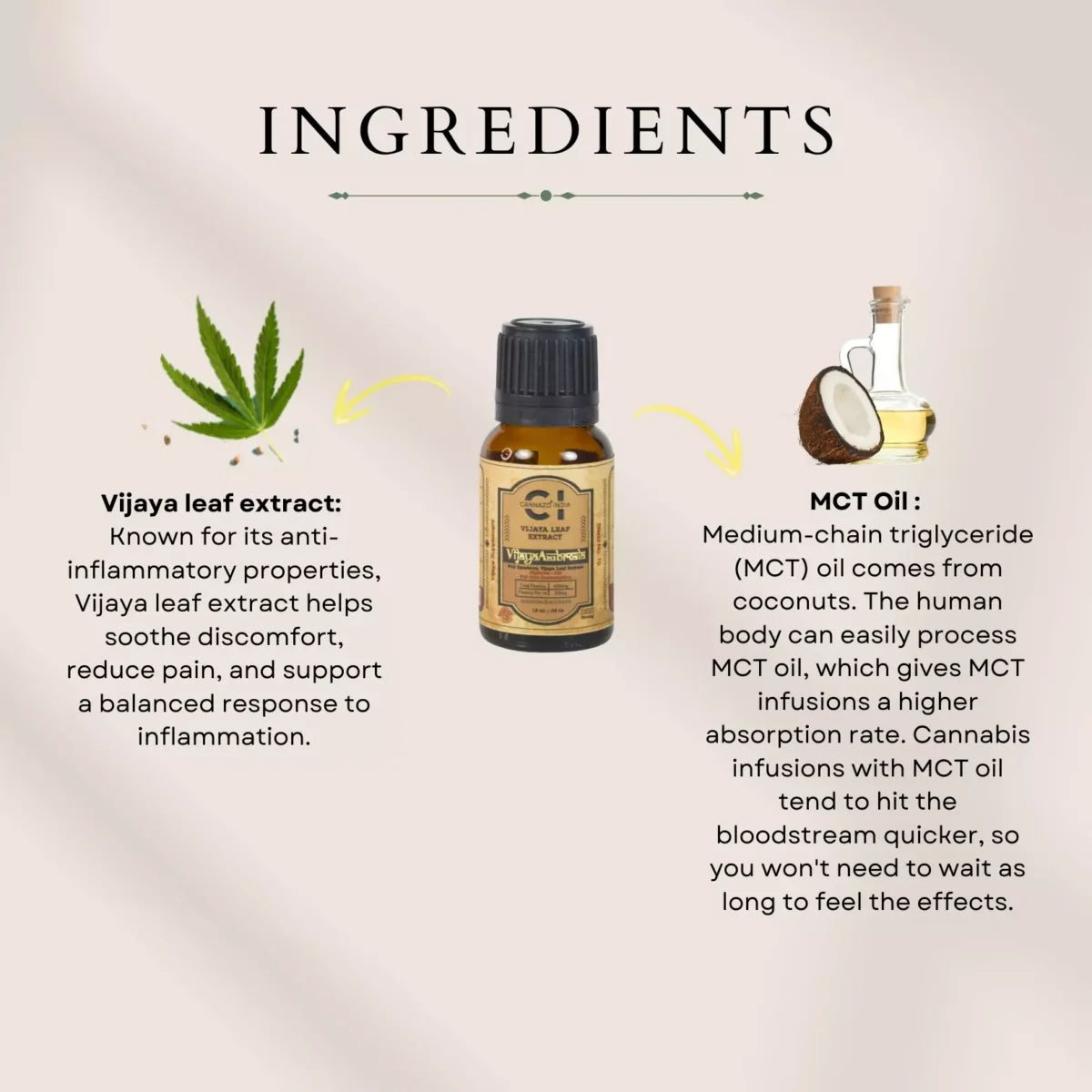 Cannazo - Vijaya Ambrosia 1:4 CBD THC High Strength Oil for Pain, Sleep & Appetite