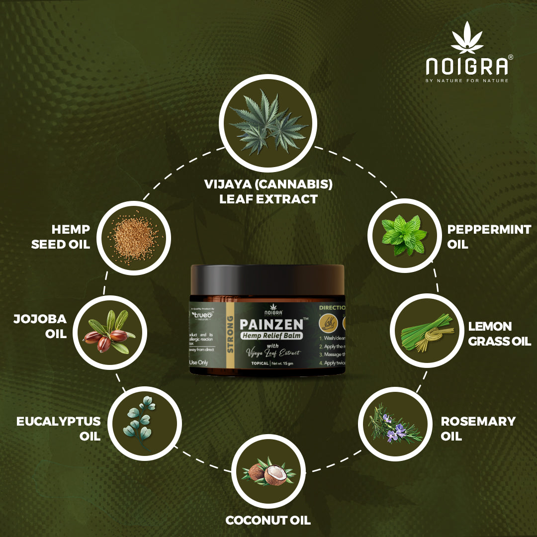 Noigra Painzen Hemp Relief Balm (Strong)