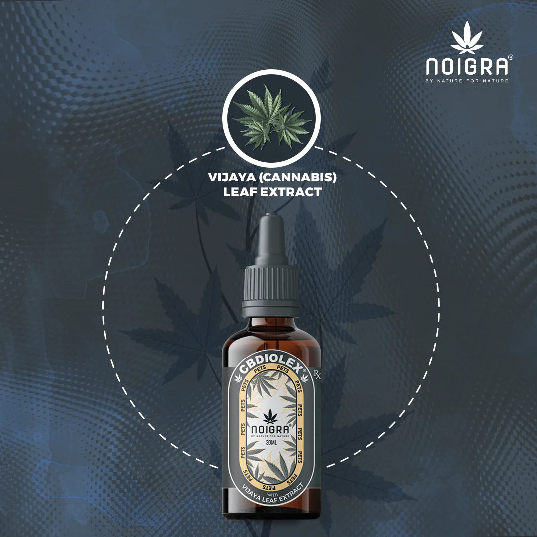 Noigra Cbdiloex For Pets : 1000mg CBD Oil Tincture.