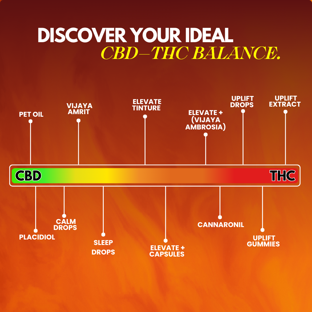 Cannazo- De-Waxed Uplift+ Pen (Full Spectrum THC Extract Syringe) Golden Extract