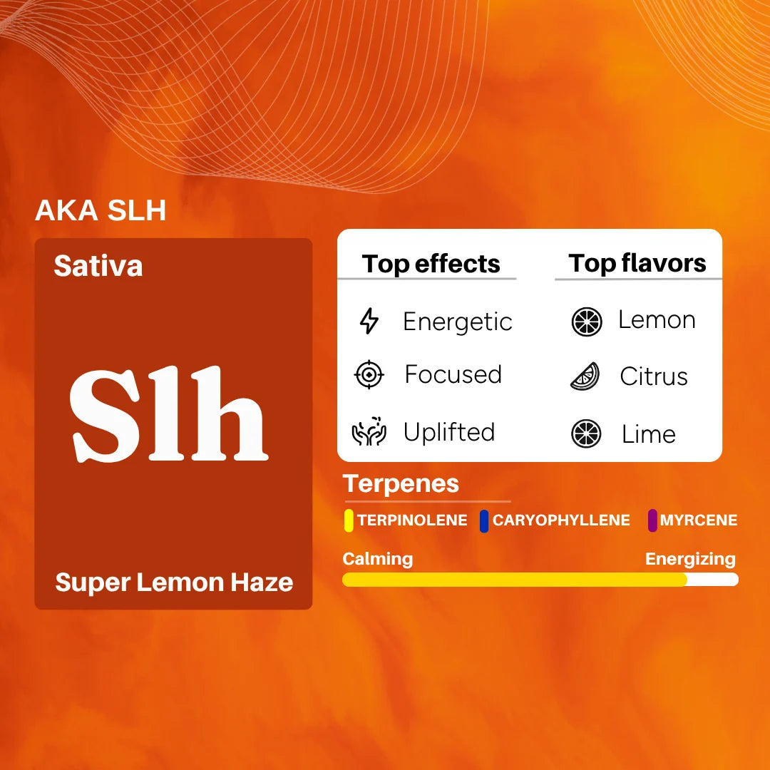 Cannazo Uplift Plus - Strong Full-Spectrum Medical Cannabis Extract - Super Lemon Haze