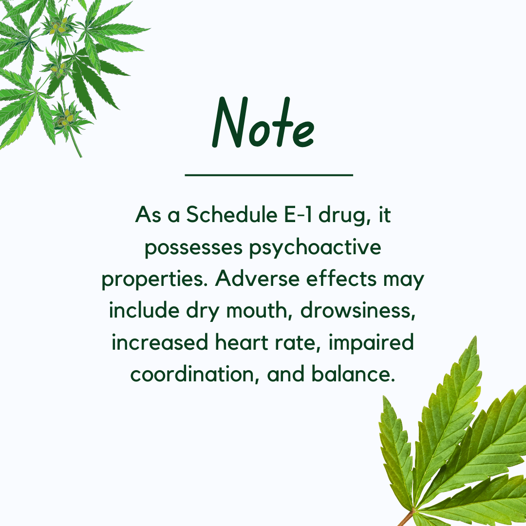 Medicann- Medical Cannabis Oil Tincture - Peppermint.