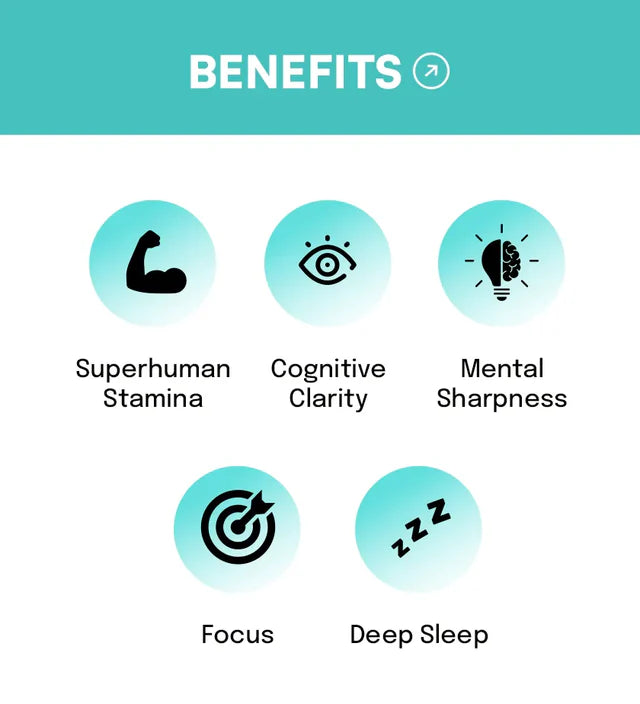 Chimp x Herbs Limitless Kit | Premium Functional Mushroom Wellness Tinctures
