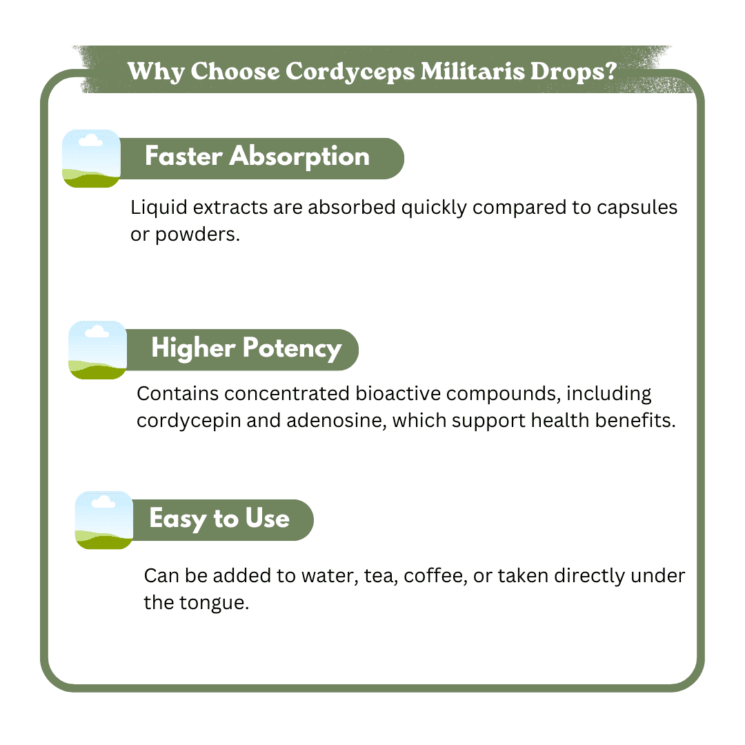 Nuvedic- Cordyceps Militaris Drops | Cordyceps ExtractCordyceps ExtractBuy Cordyceps Militaris Drops - Nuvedic Cordyceps Extract