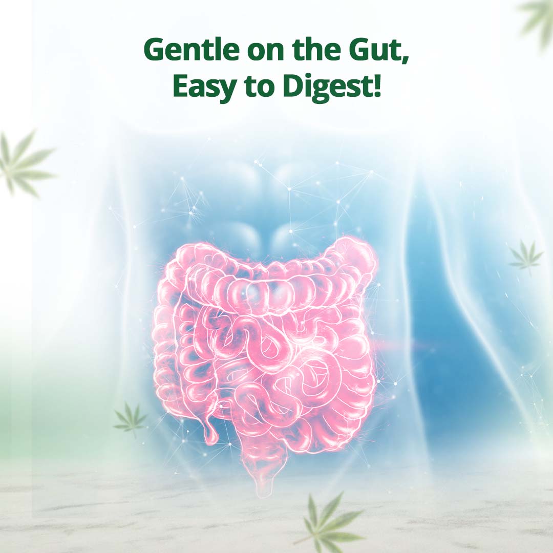 CBD Store India